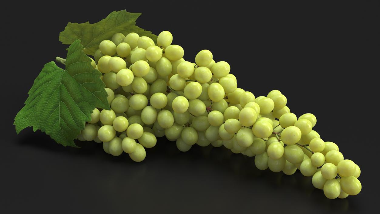 3D Sultana Green Grape Cluster Lying model