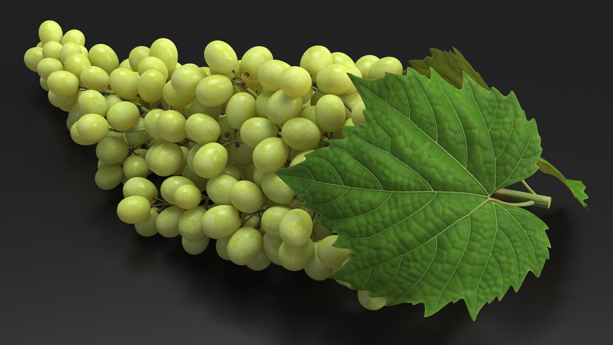 3D Sultana Green Grape Cluster Lying model