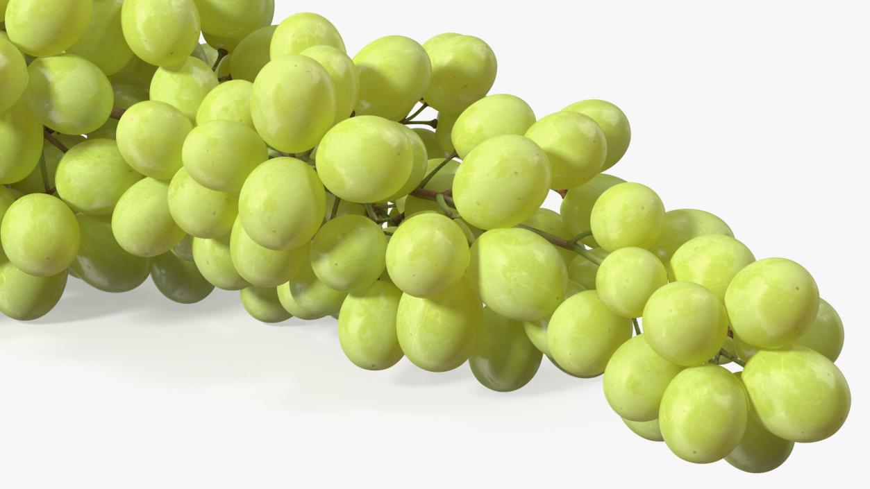 3D Sultana Green Grape Cluster Lying model