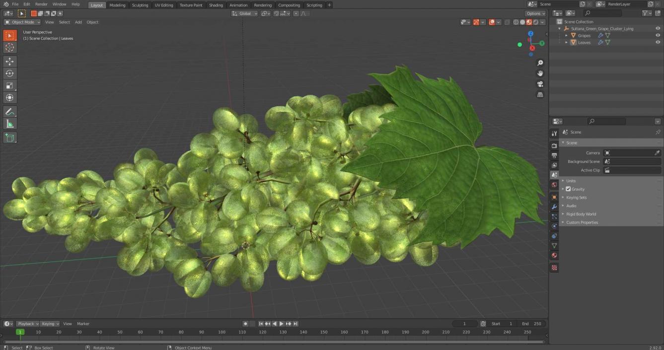 3D Sultana Green Grape Cluster Lying model