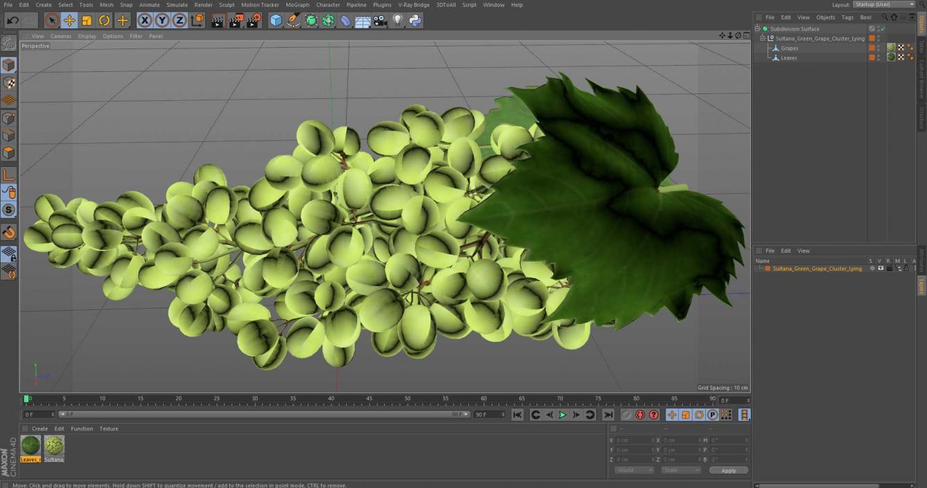 3D Sultana Green Grape Cluster Lying model