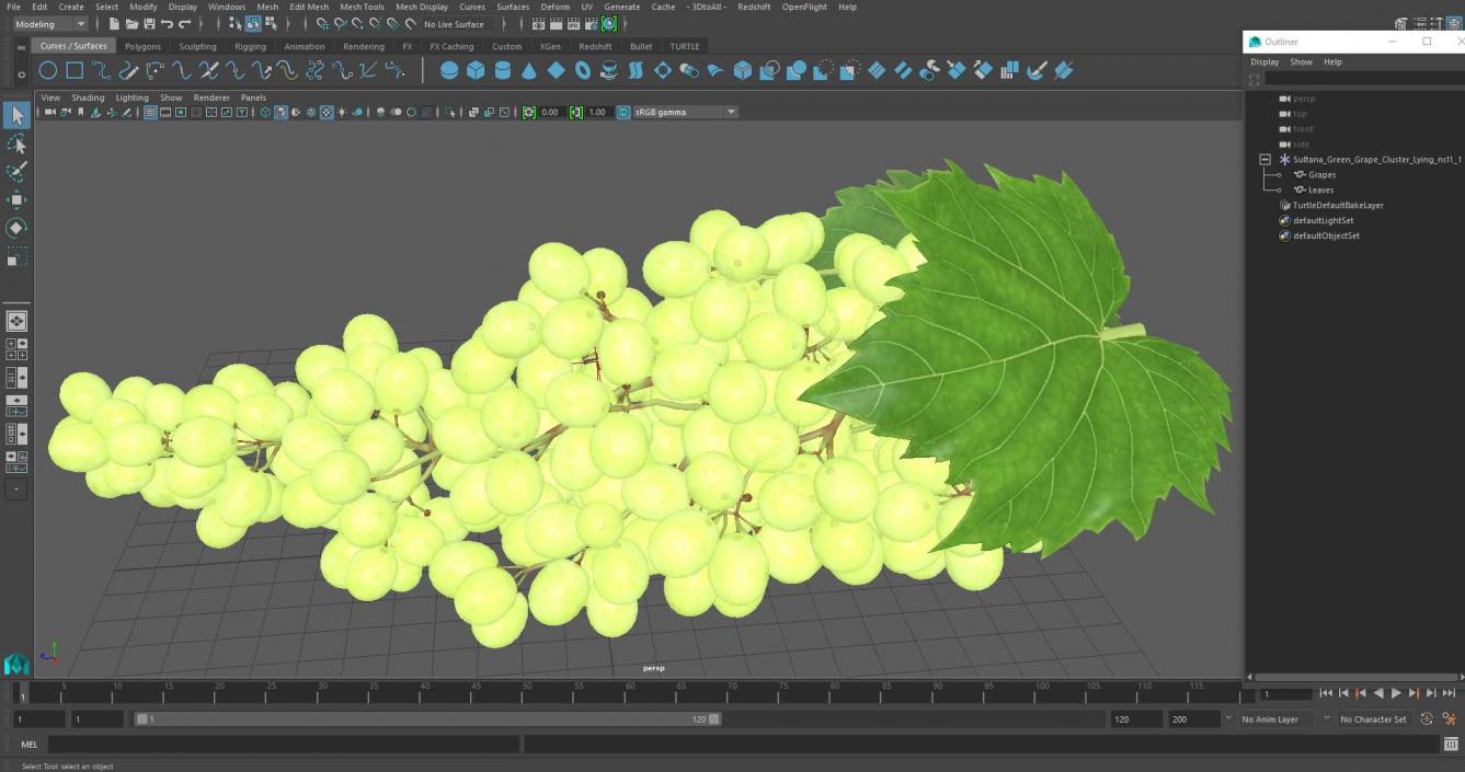 3D Sultana Green Grape Cluster Lying model