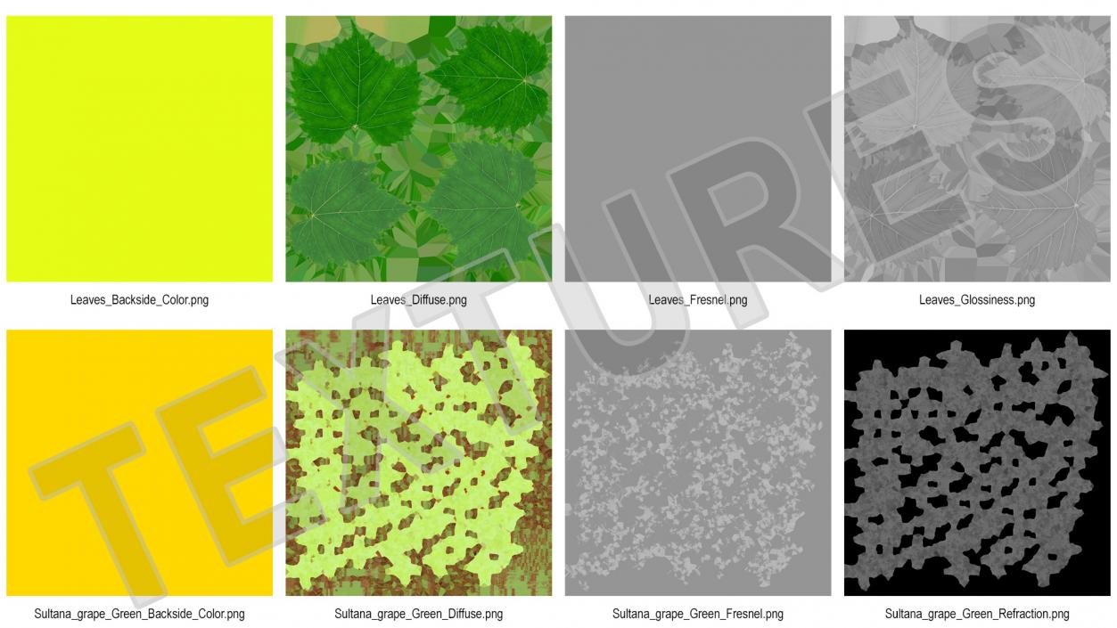 3D Sultana Green Grape Cluster Lying model