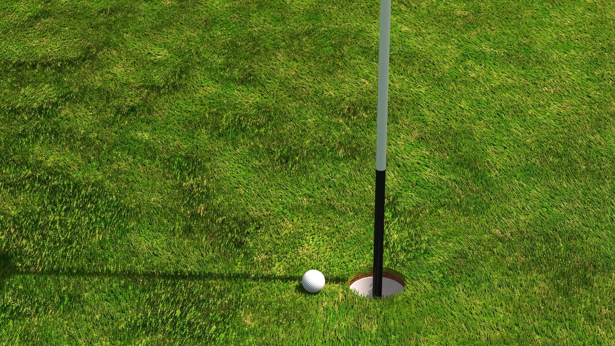 Golf Hole Place Fur 3D model