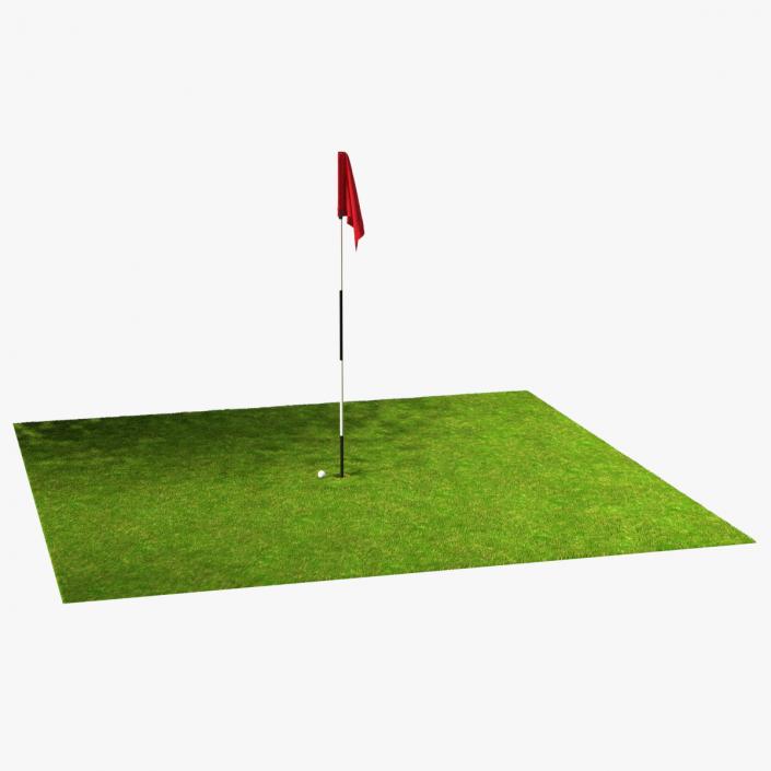 Golf Hole Place Fur 3D model