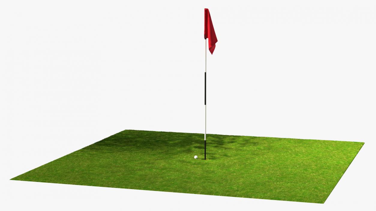 Golf Hole Place Fur 3D model