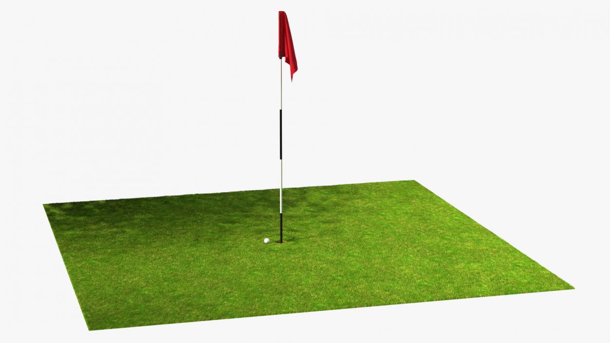 Golf Hole Place Fur 3D model