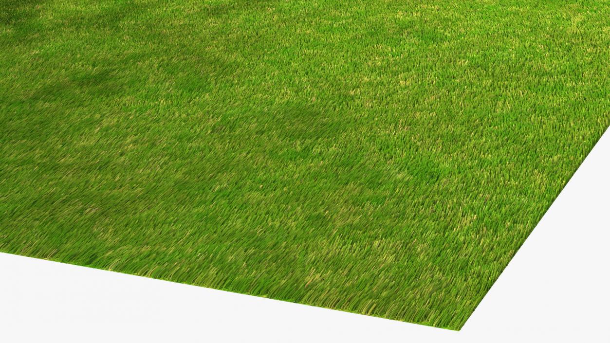 Golf Hole Place Fur 3D model