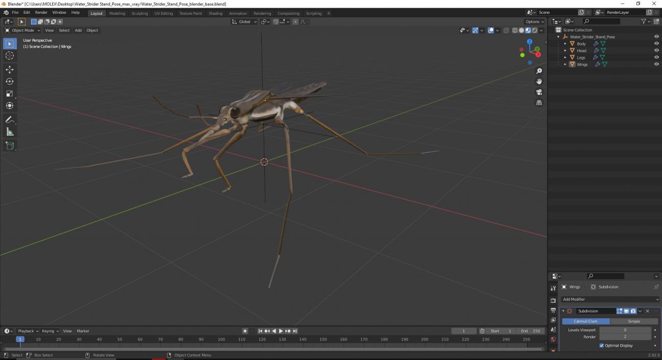 Water Strider Stand Pose 3D model