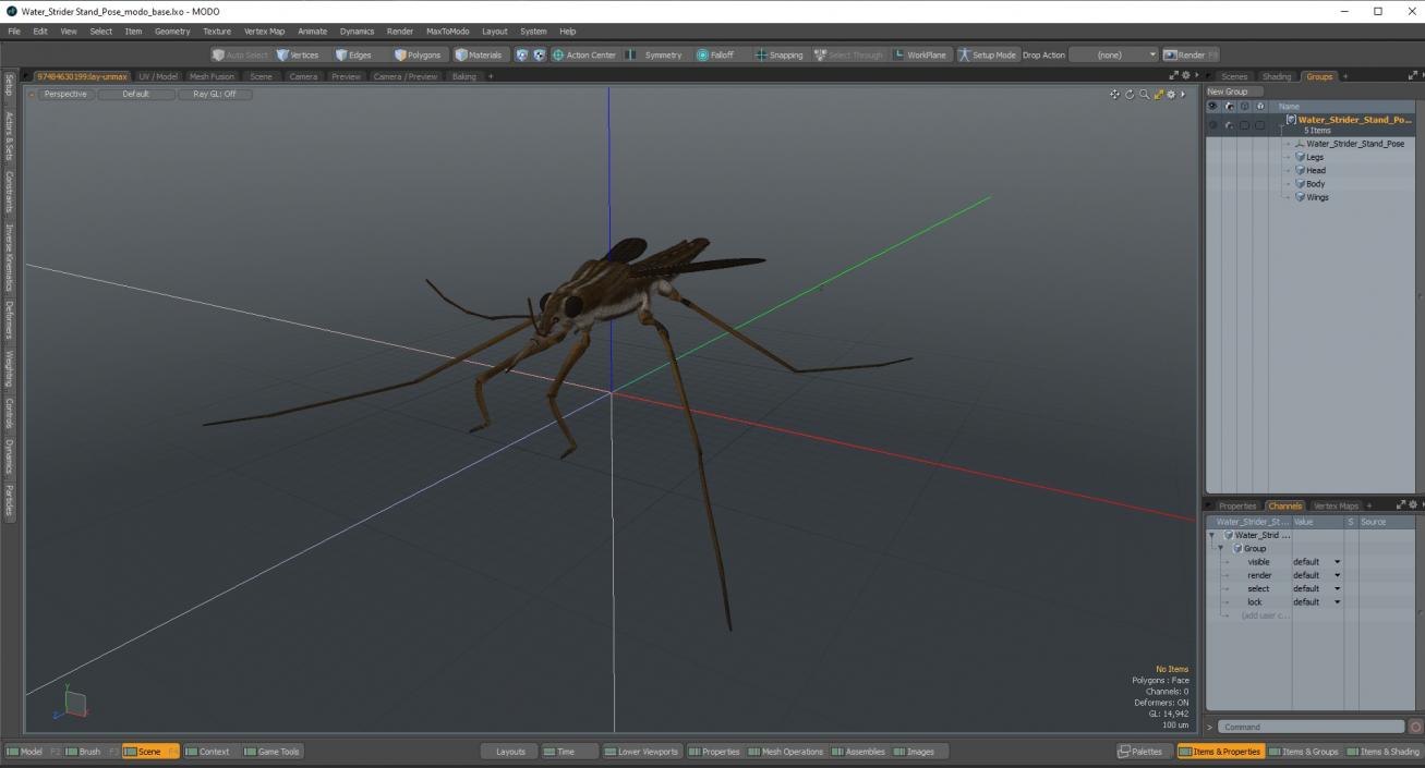 Water Strider Stand Pose 3D model