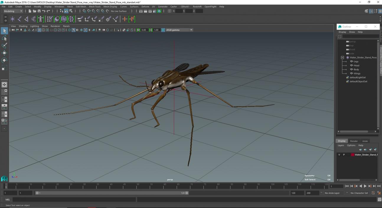 Water Strider Stand Pose 3D model