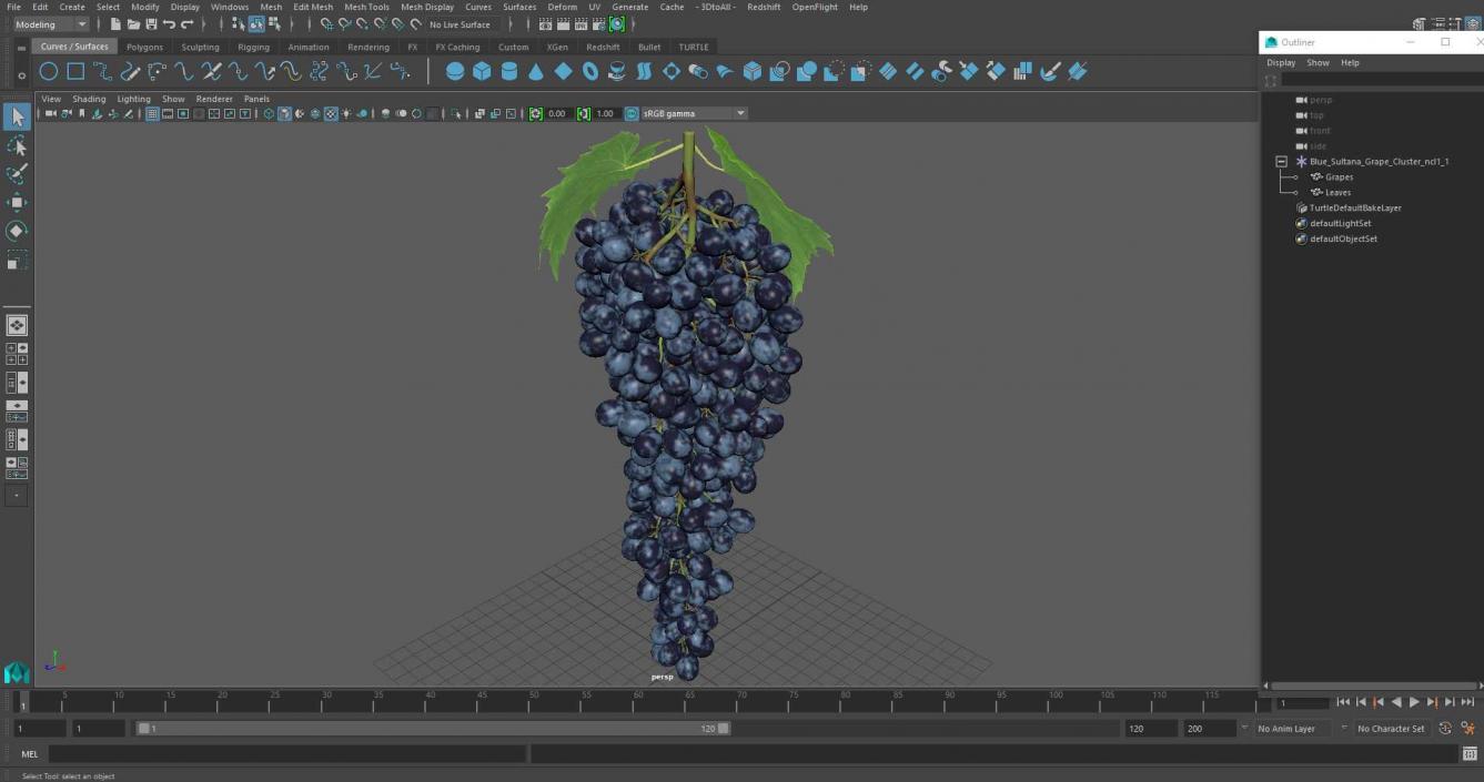 3D Blue Sultana Grape Cluster