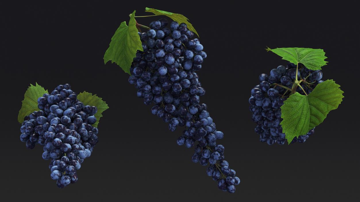 3D Blue Sultana Grape Cluster