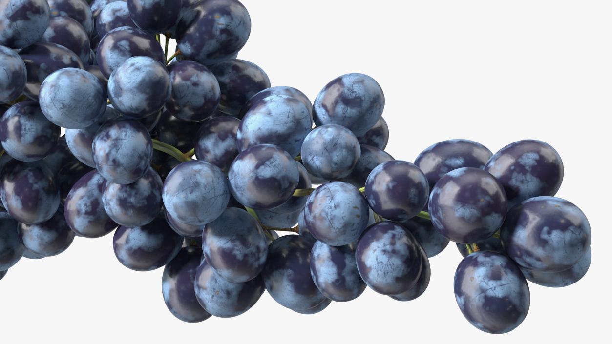 3D Blue Sultana Grape Cluster