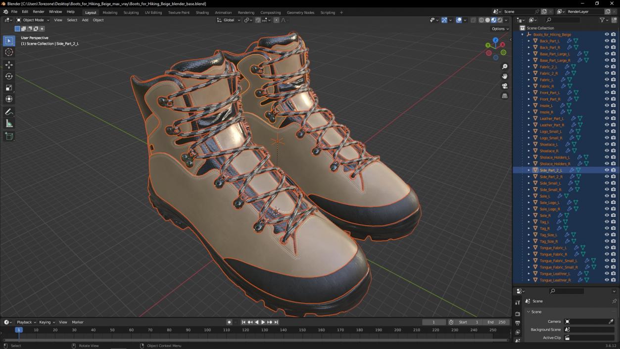 Boots for Hiking Beige 3D