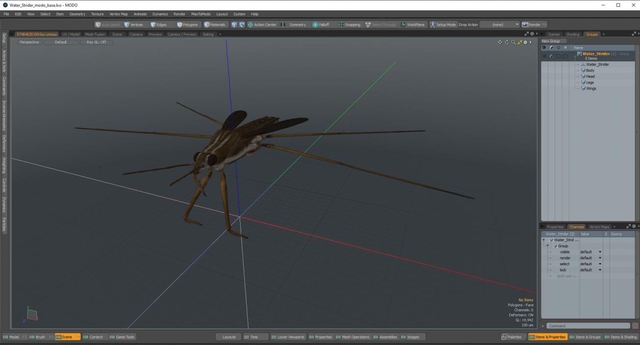 3D Water Strider model