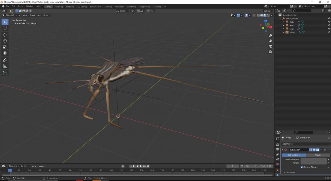 3D Water Strider model