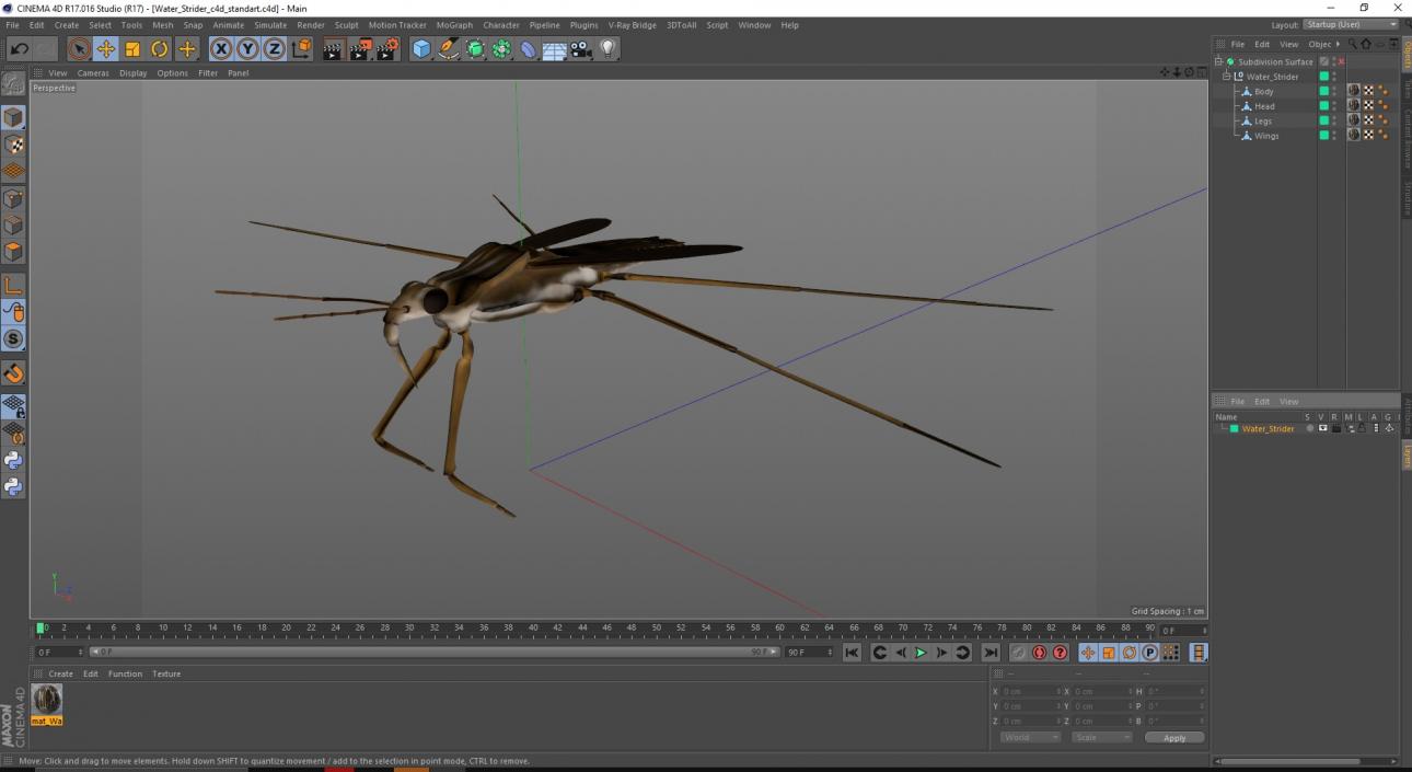 3D Water Strider model