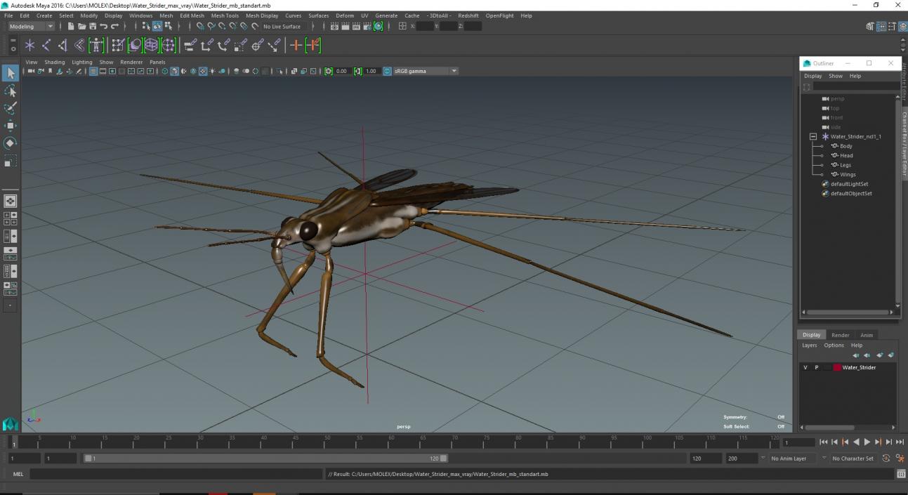 3D Water Strider model