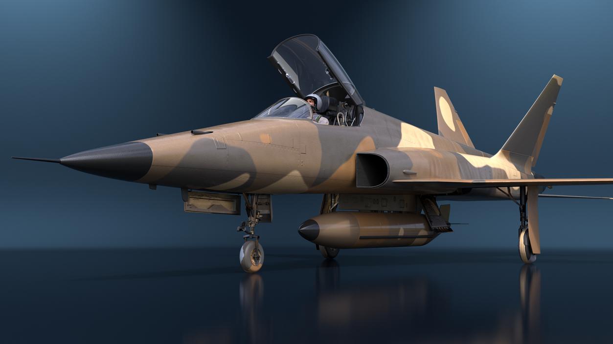 3D Military Camouflaged Fighter Jet with Pilot model