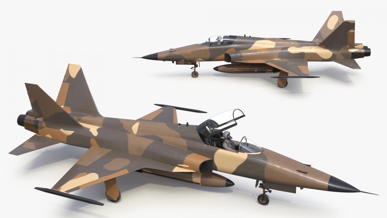 3D Military Camouflaged Fighter Jet with Pilot model