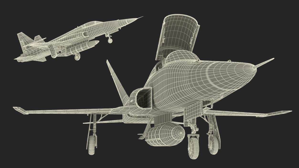 3D Military Camouflaged Fighter Jet with Pilot model