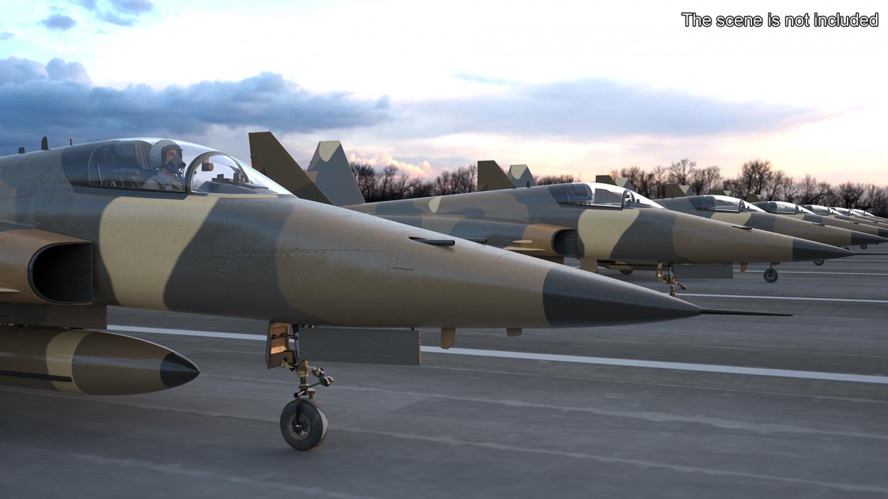 3D Military Camouflaged Fighter Jet with Pilot model