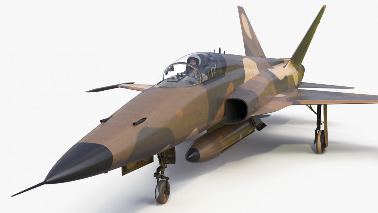 3D Military Camouflaged Fighter Jet with Pilot model