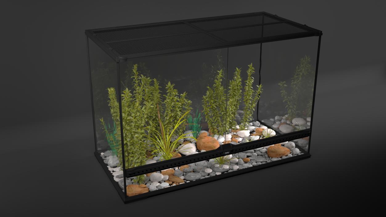 Large Terrarium with Plants Garden 3D model