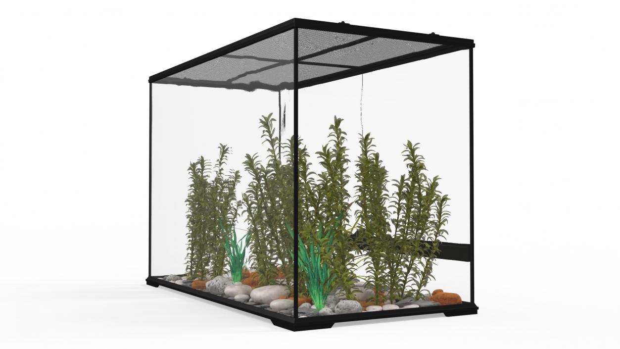 Large Terrarium with Plants Garden 3D model