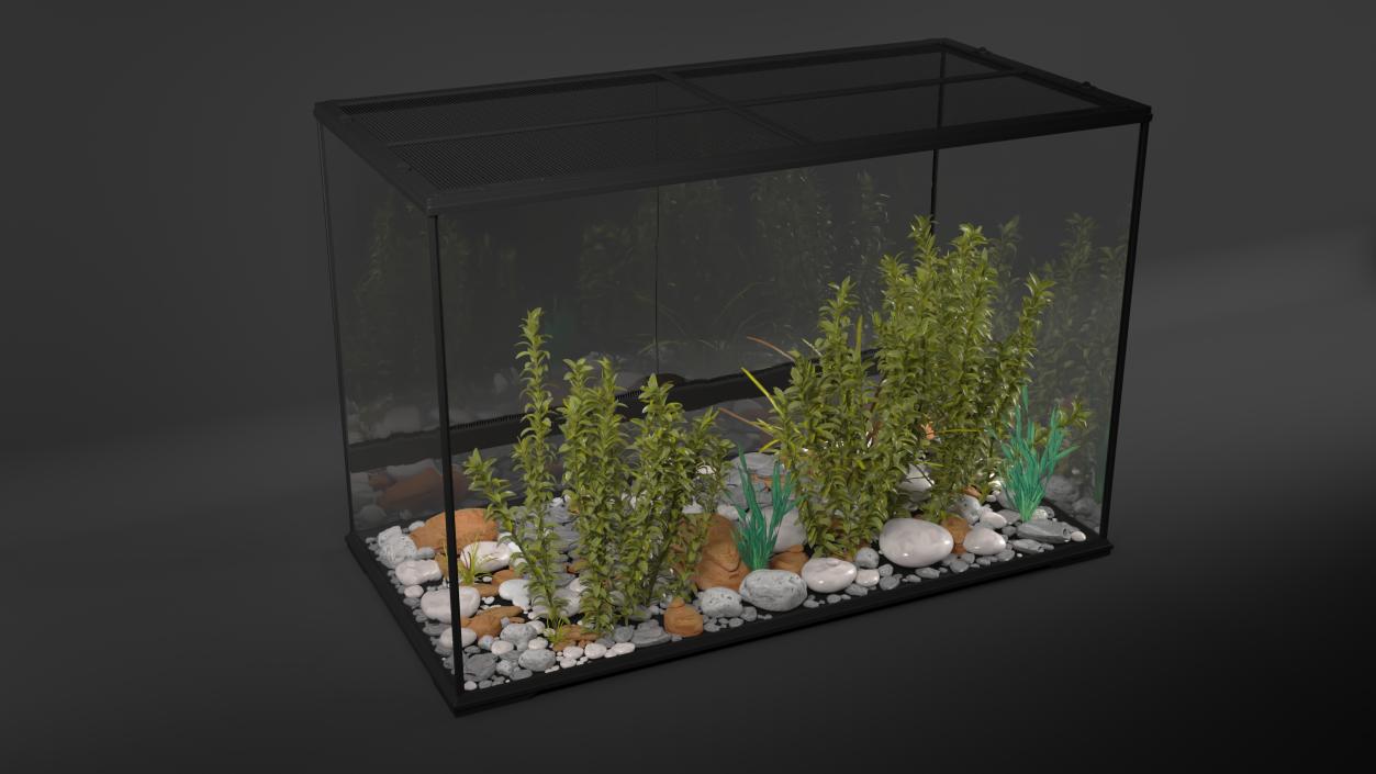 Large Terrarium with Plants Garden 3D model