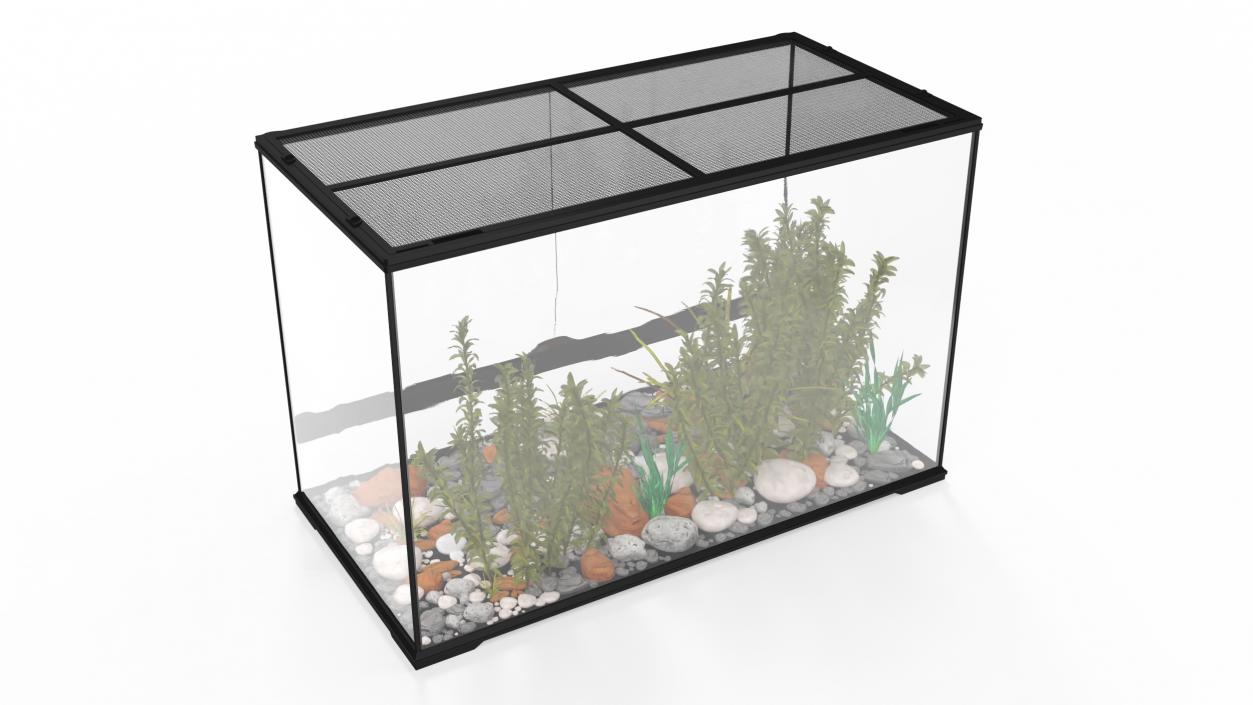 Large Terrarium with Plants Garden 3D model