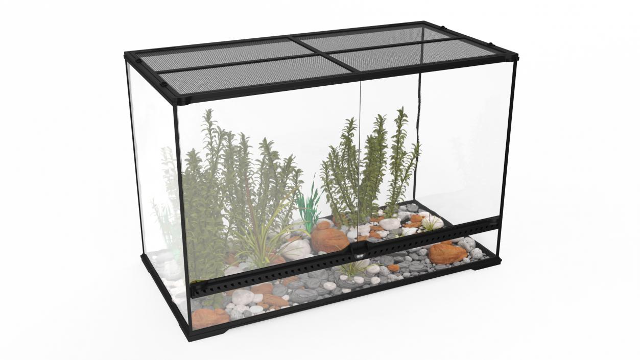 Large Terrarium with Plants Garden 3D model