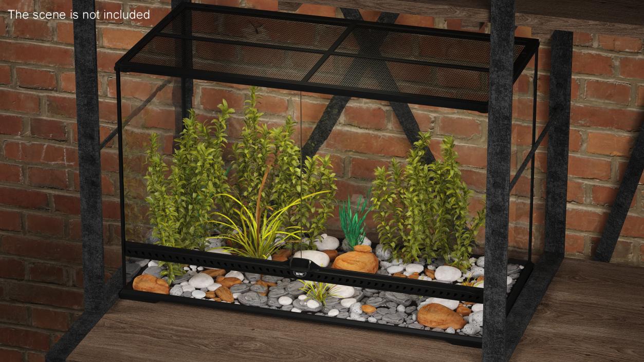 Large Terrarium with Plants Garden 3D model