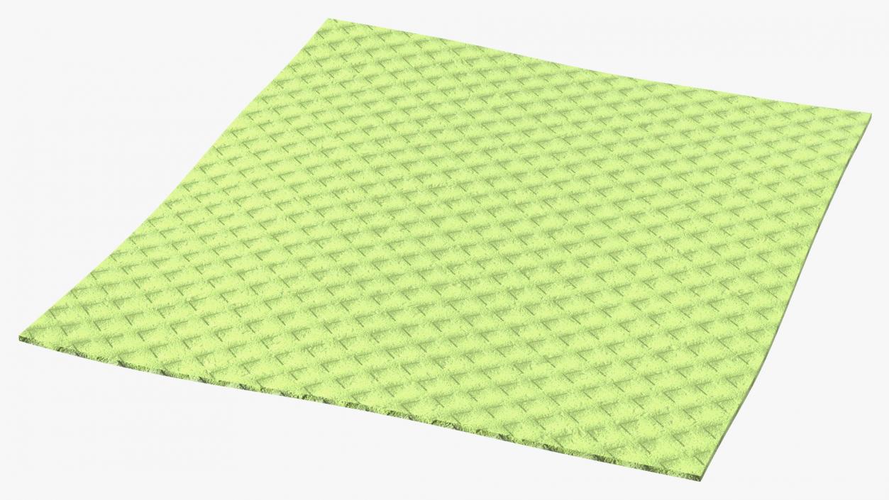 3D model New Dish Cloth Green