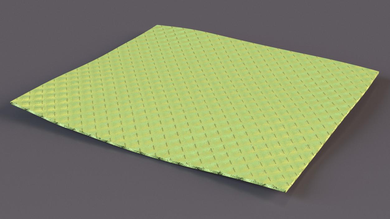 3D model New Dish Cloth Green