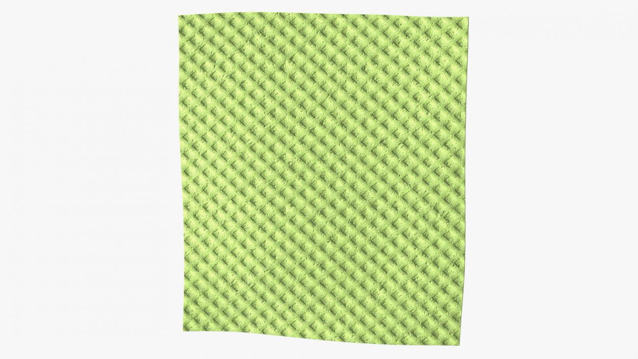 3D model New Dish Cloth Green