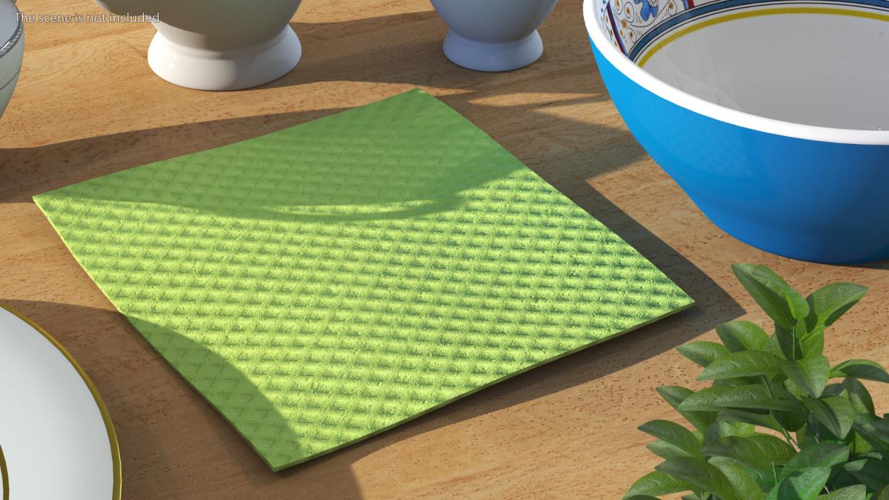 3D model New Dish Cloth Green