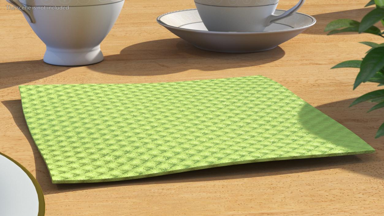 3D model New Dish Cloth Green