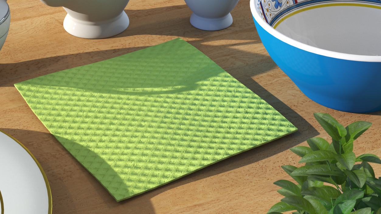 3D model New Dish Cloth Green