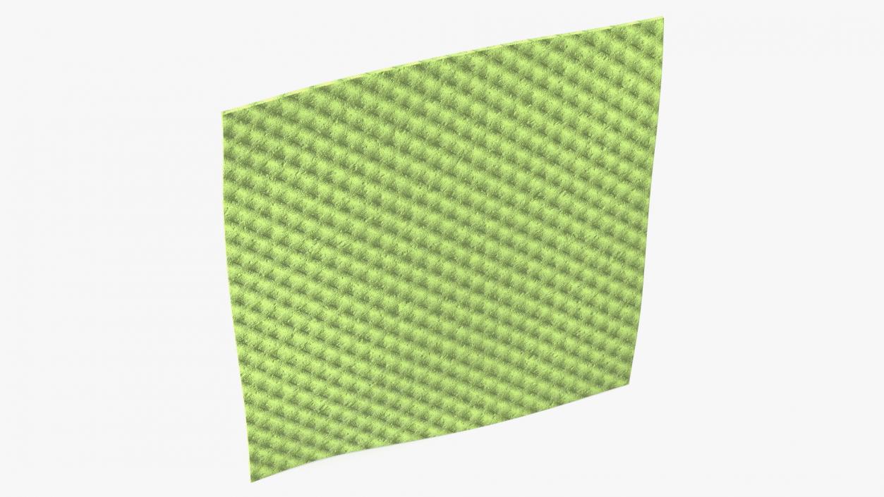 3D model New Dish Cloth Green