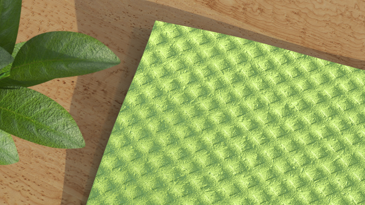 3D model New Dish Cloth Green