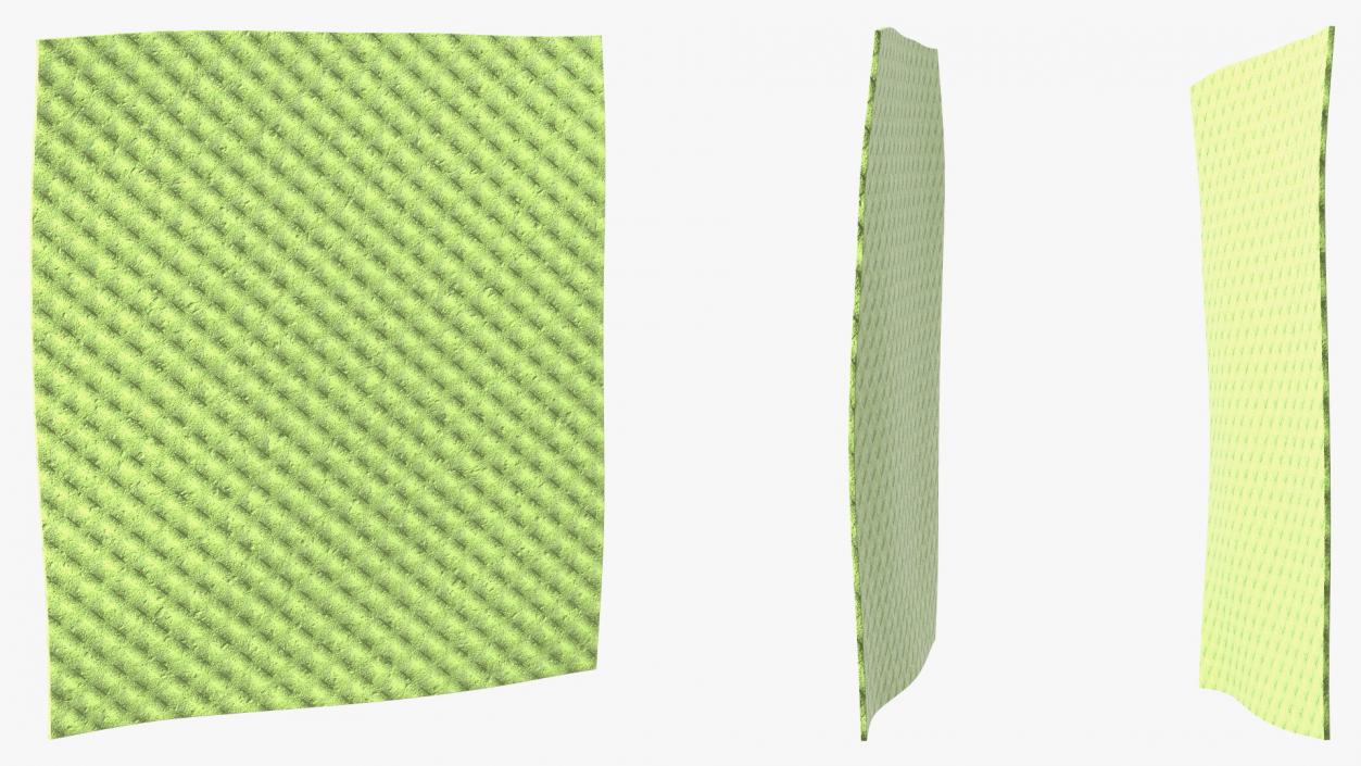 3D model New Dish Cloth Green