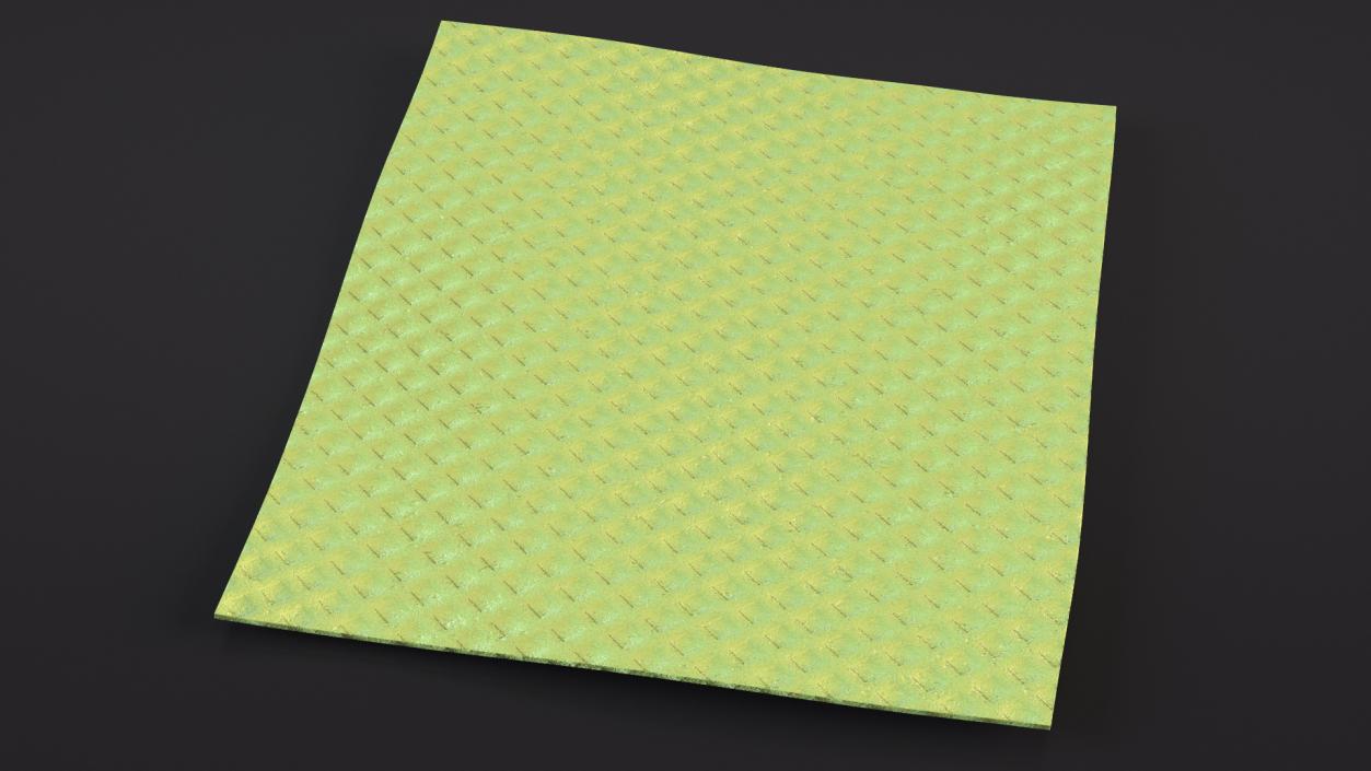 3D model New Dish Cloth Green