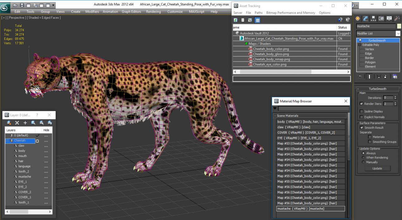 3D African Large Cat Cheetah Standing Pose with Fur model