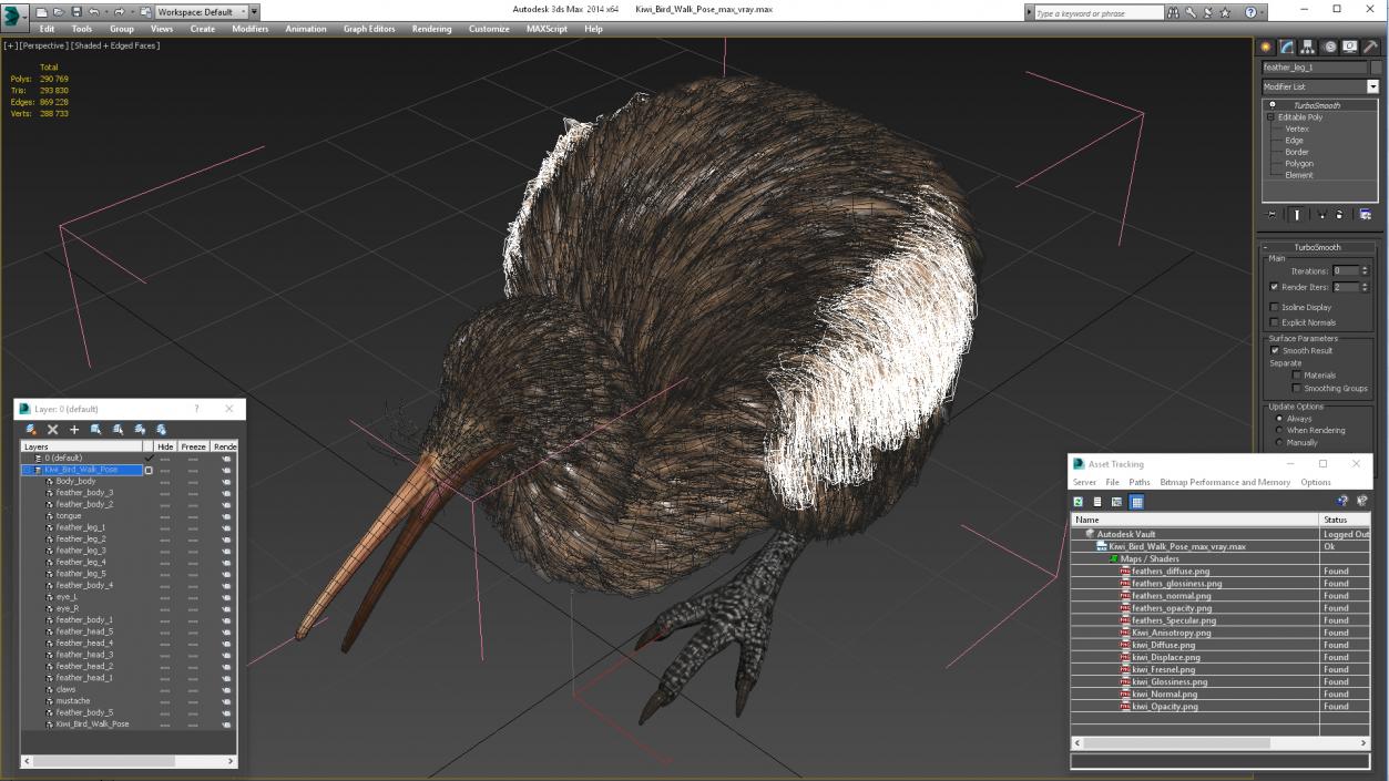 Kiwi Bird Walk Pose 3D model