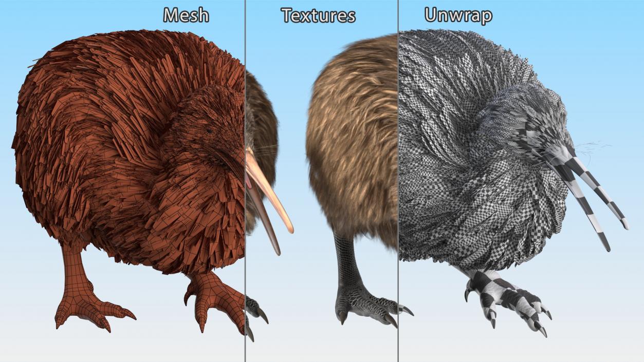 Kiwi Bird Walk Pose 3D model