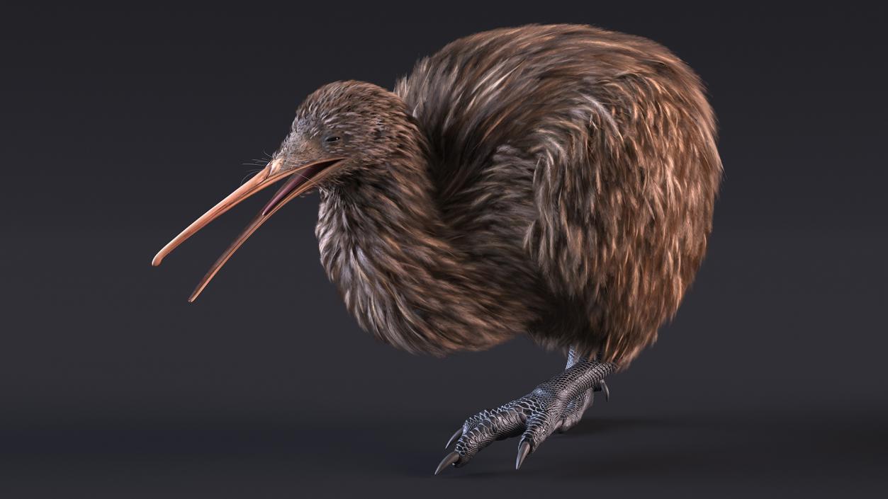 Kiwi Bird Walk Pose 3D model