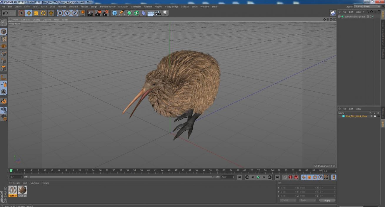 Kiwi Bird Walk Pose 3D model