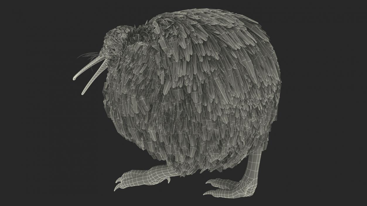 Kiwi Bird Walk Pose 3D model